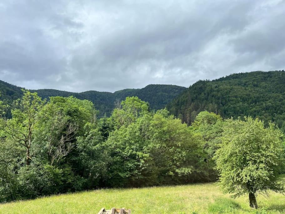 Appartement 5 Personnes Avec Espace Plein Air Saint-Maurice-sur-Moselle Exterior foto